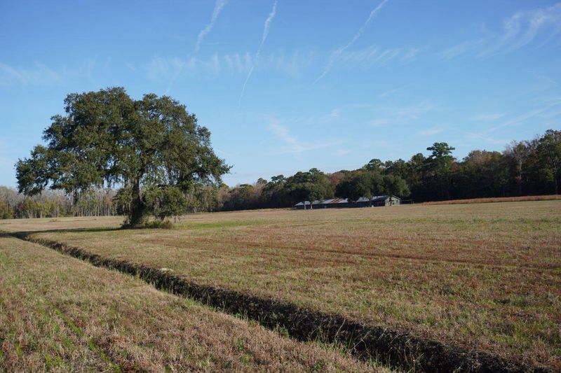 2066 Rackity Hall Rd, Wadmalaw Island, SC 29487