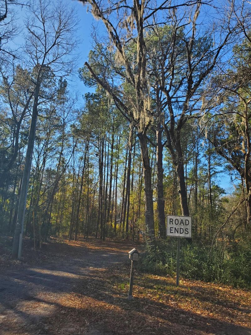 7083 Inman Rd, Meggett, SC 29449