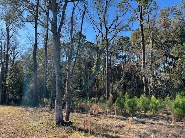 6345 N Hwy 17, Awendaw, SC 29429