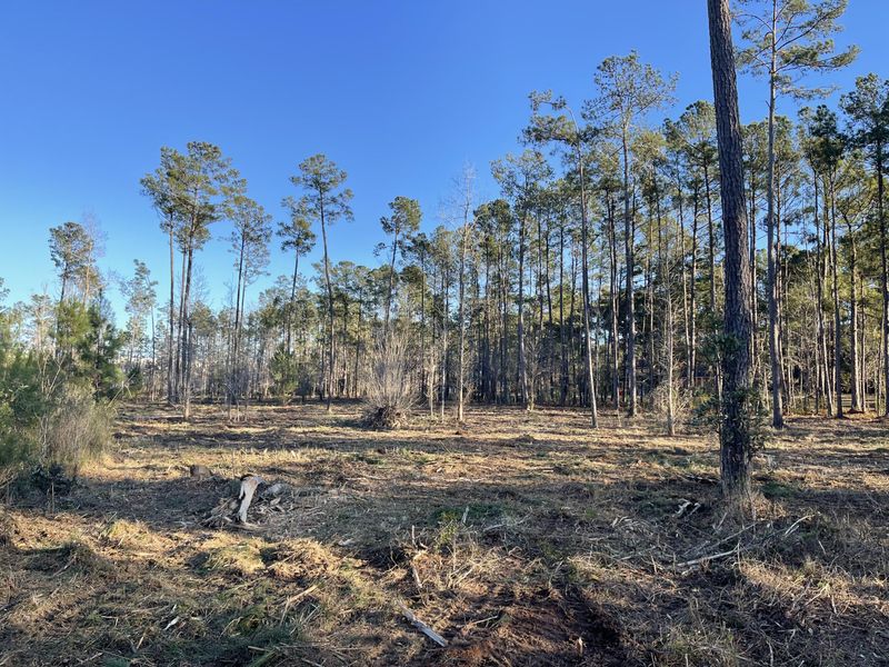 0 Countryside Way Lot 6, Summerville, SC 29483