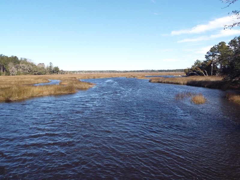 4830 Savannah Hw, Ravenel, SC 29470