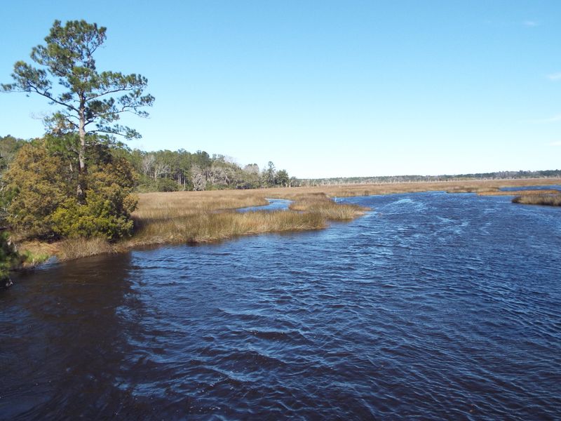4830 Savannah Hw, Ravenel, SC 29470