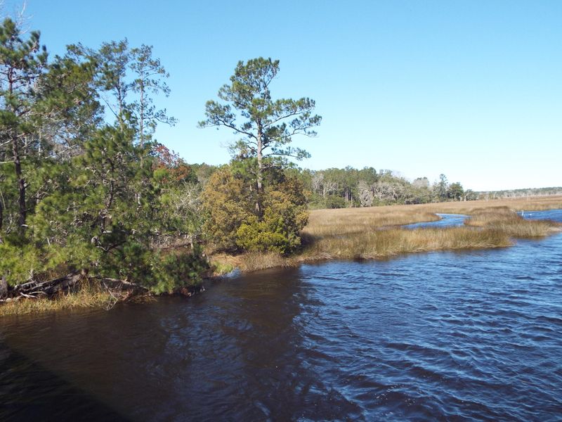 4830 Savannah Hw, Ravenel, SC 29470