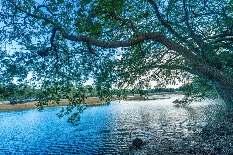 1402 Camp Rd #13d, Charleston, SC 29412