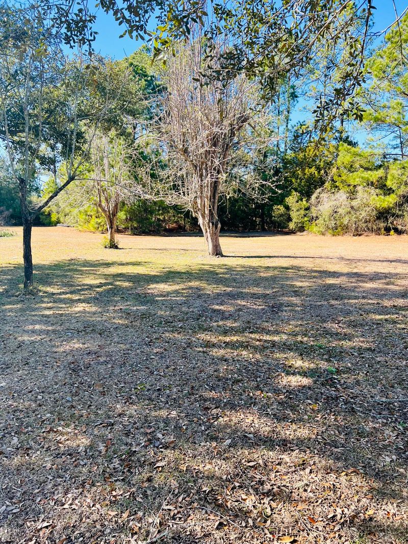 0 Meggett Creek Rd, Meggett, SC 29449