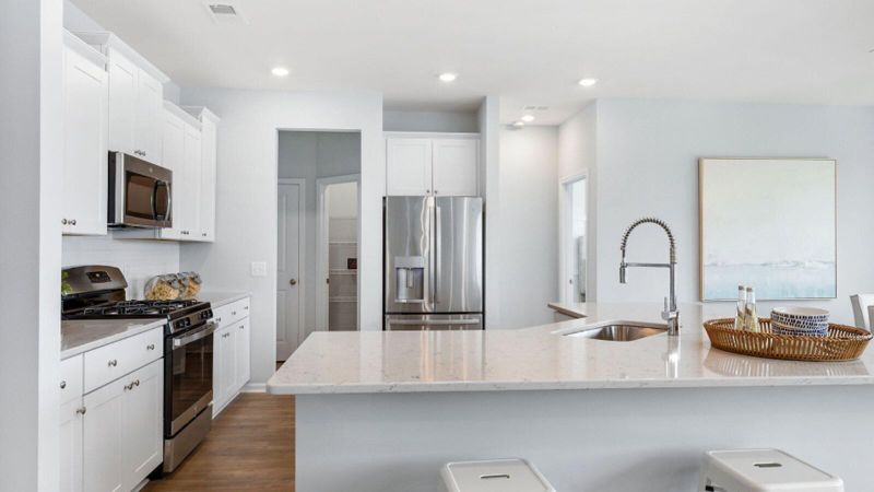 1253 Spotflower St, Summerville, SC 29485