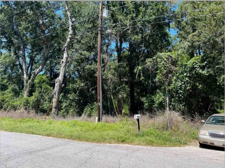 344 5th Ave, Mount Pleasant, SC 29464