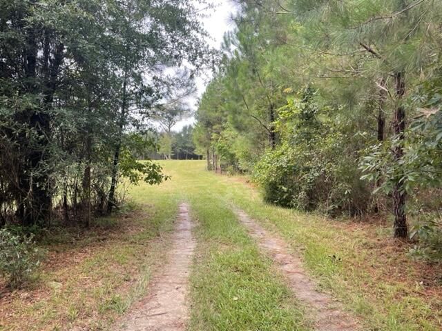 117 Oak Estates Way, Ridgeville, SC 29472