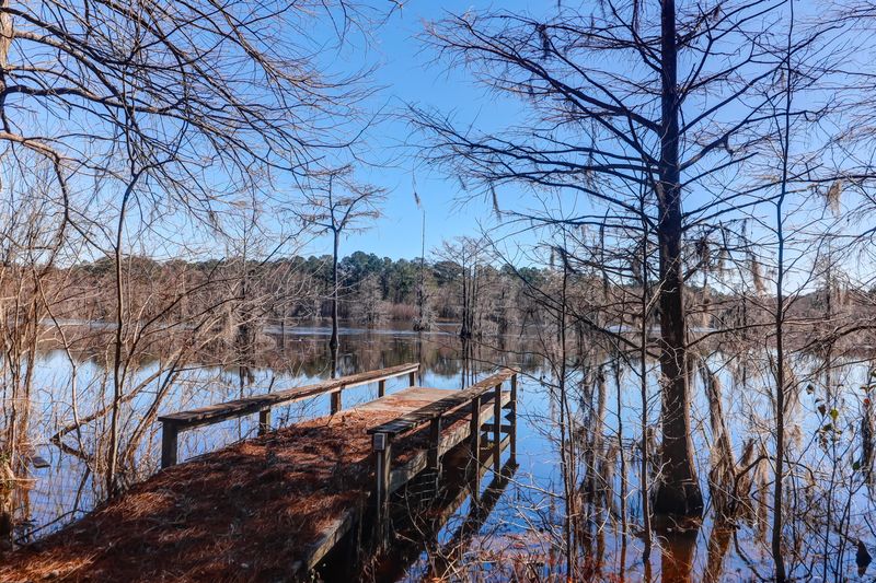 943 Waterfowl Ln, Huger, SC 29450