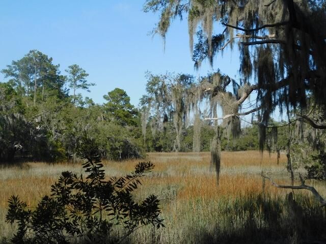 7774 Chaplin Garden Ln, Edisto Island, SC 29438