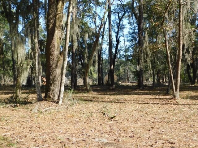7774 Chaplin Garden Ln, Edisto Island, SC 29438