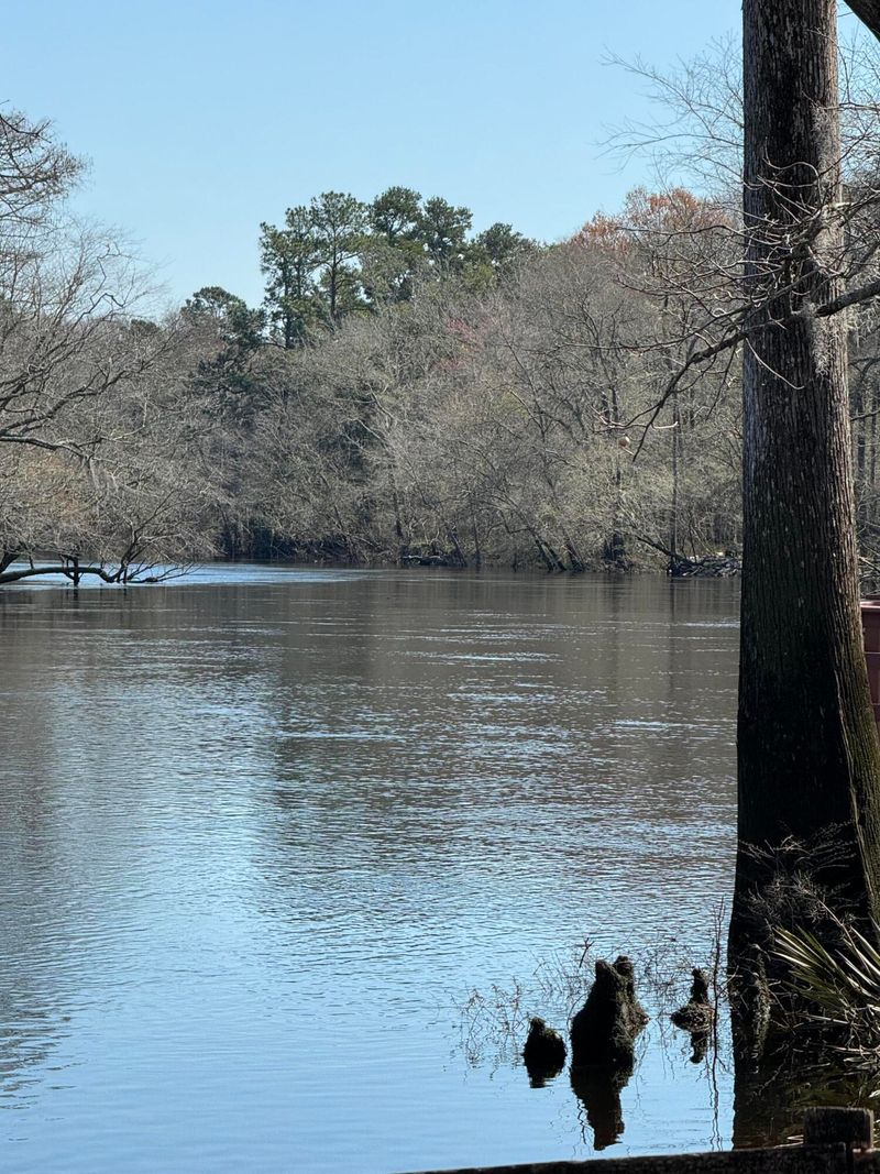 0 Sawyer Dr, Ridgeville, SC 29472