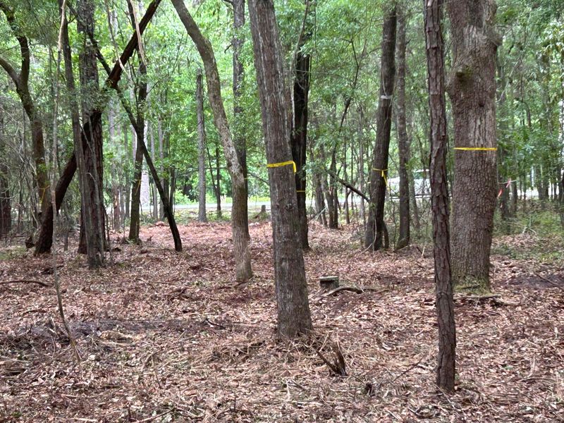 0 Highway 162 Lot 7, Hollywood, SC 29449
