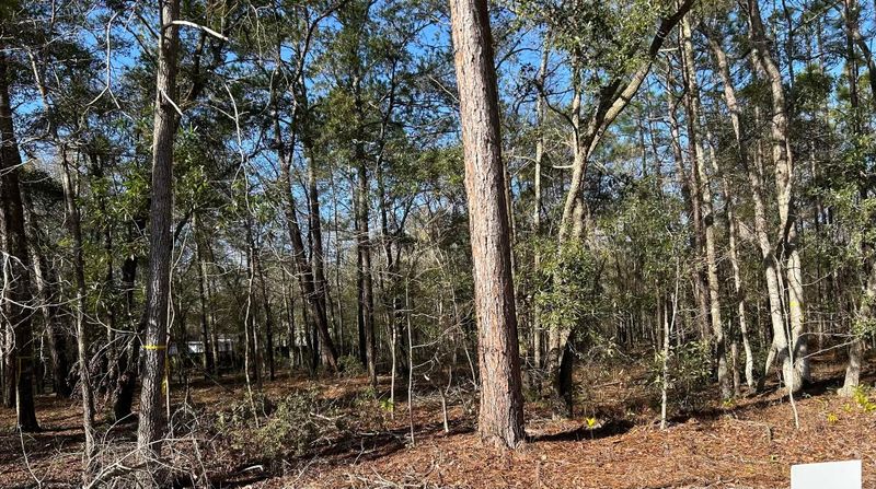 0 Highway 162 Lot 7, Hollywood, SC 29449