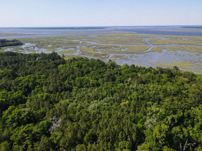 16 Chaplin Garden Ln, Edisto Island, SC 29438