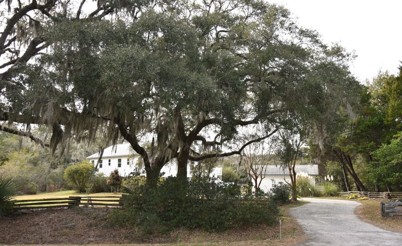 1229 Harts Bluff Rd, Wadmalaw Island, SC 29487
