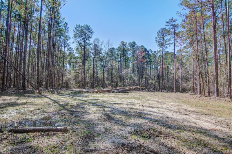 1203 Red Buckeye Ct, Moncks Corner, SC 29461