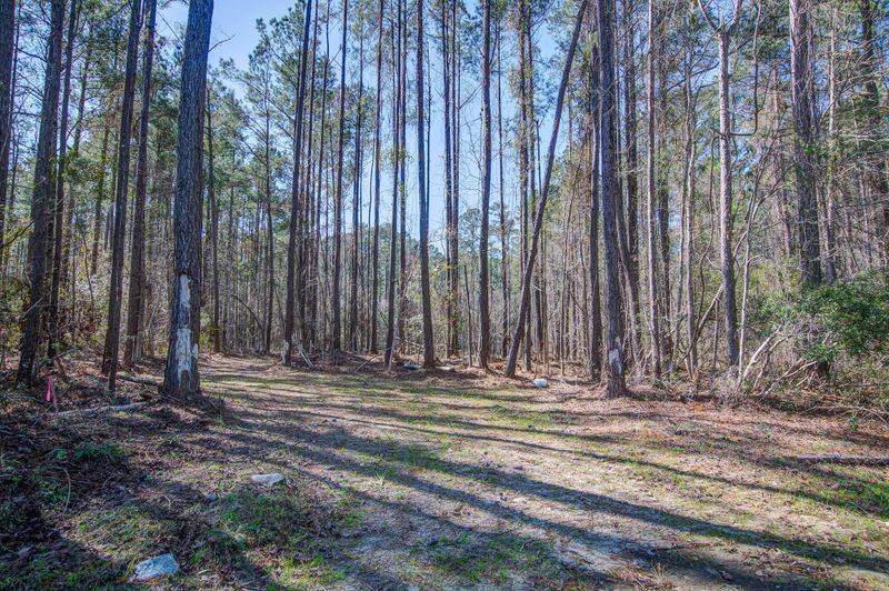 1203 Red Buckeye Ct, Moncks Corner, SC 29461