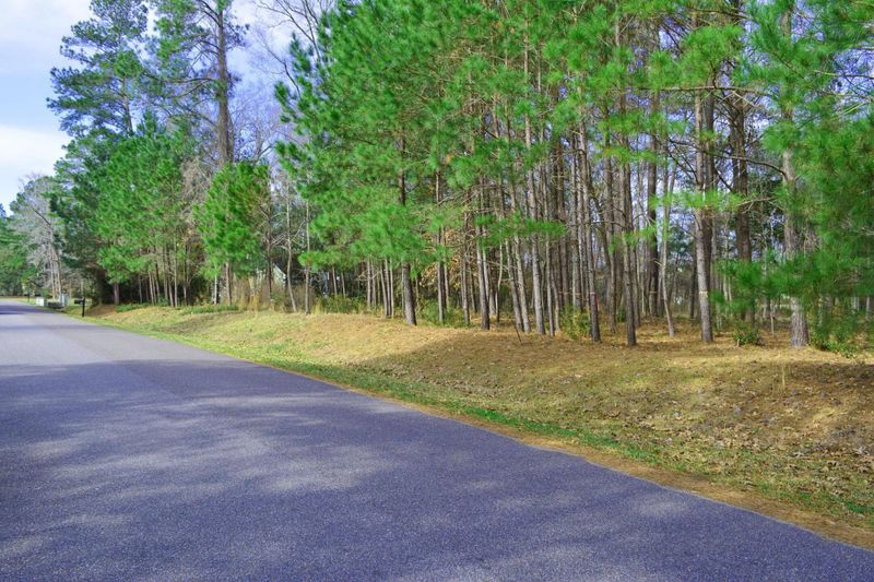 103 Rhetts Way, Summerville, SC 29485