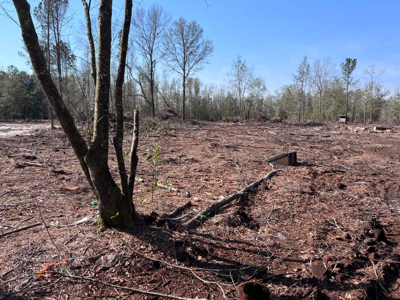 Lot 7 Marion Rd, Dorchester, SC 29437