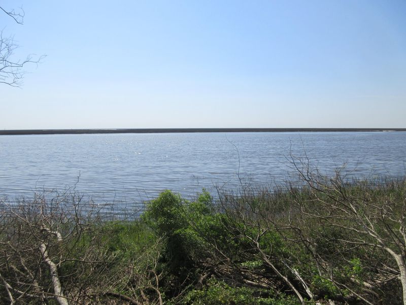 5000 Aldebaran Way, Mcclellanville, SC 29458