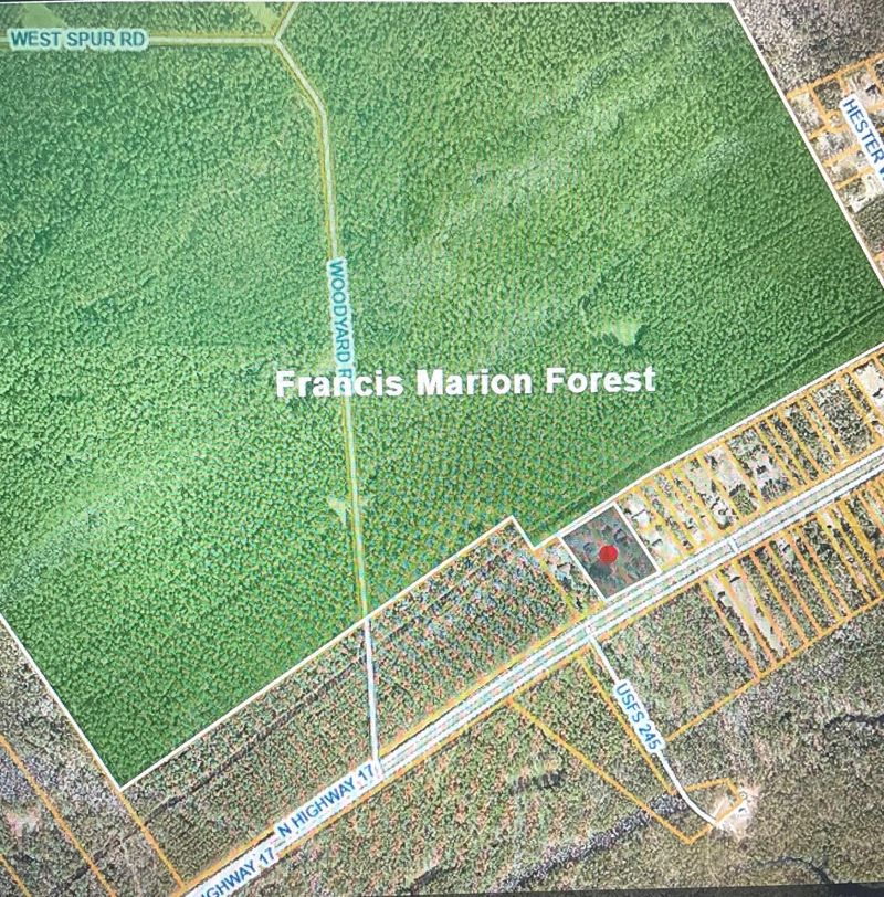 9262 Hwy 17, Mcclellanville, SC 29458