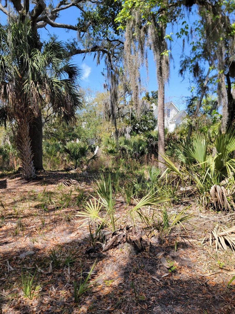 10 Heron Cv, Edisto Island, SC 29438