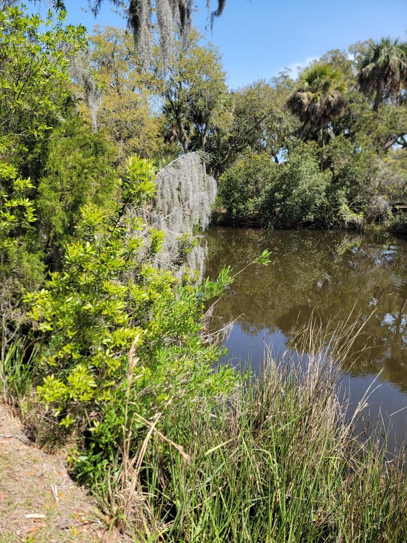 10 Heron Cv, Edisto Island, SC 29438