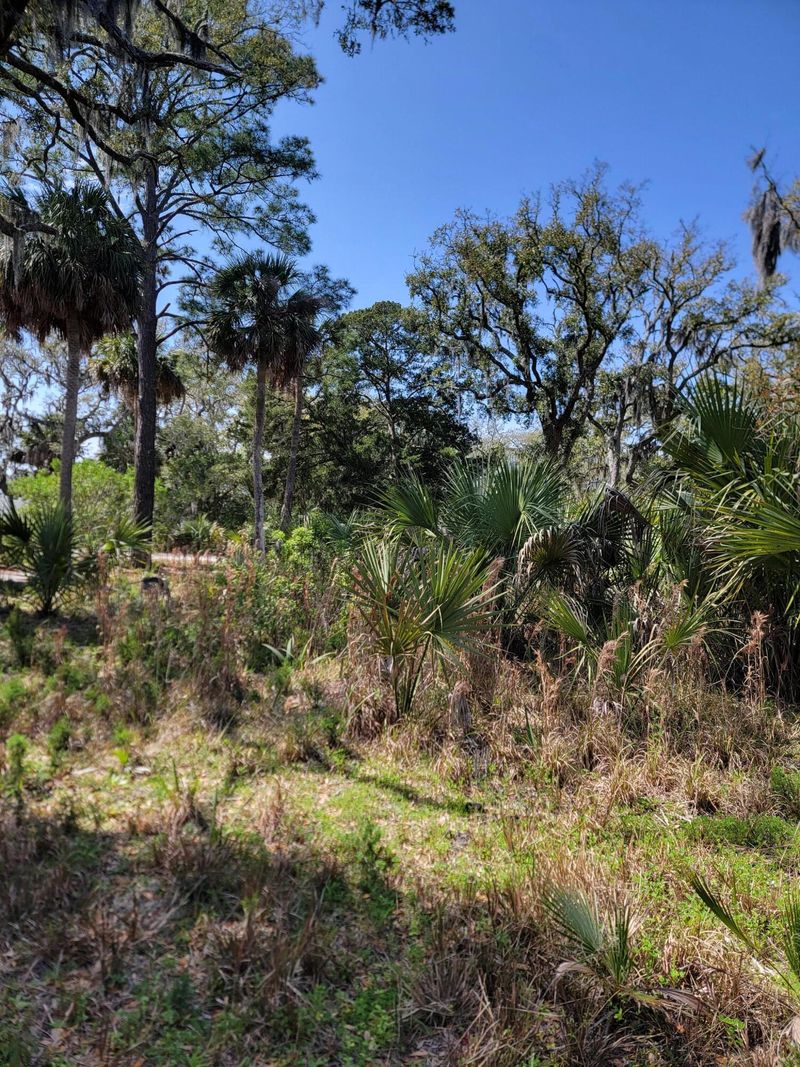 10 Heron Cv, Edisto Island, SC 29438