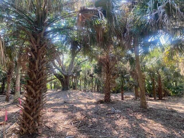 3412 Myrtle St, Edisto Beach, SC 29438