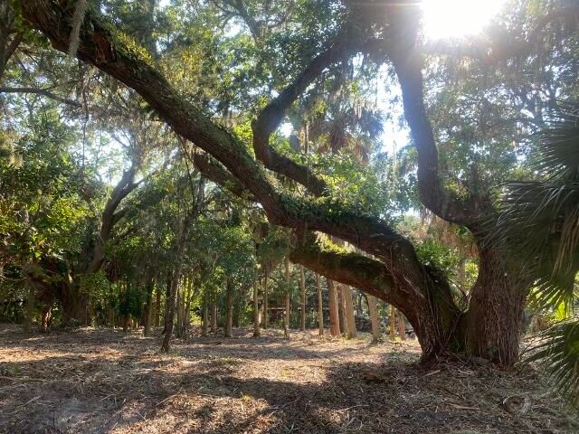 3412 Myrtle St, Edisto Beach, SC 29438