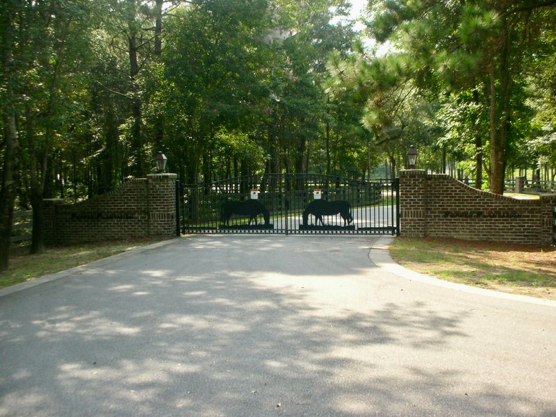 1145 Secretariat Rn, Awendaw, SC 29429