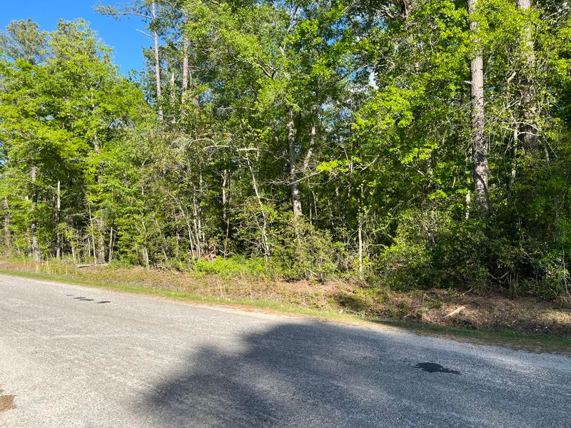 0 Sniders Hw, Walterboro, SC 29488