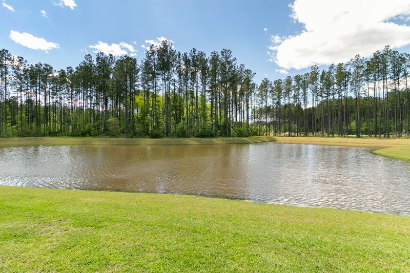 432 Fox Sparrow Ct, Summerville, SC 29486