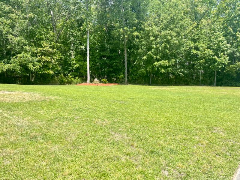 3816 Hanoverian Dr, Mount Pleasant, SC 29429