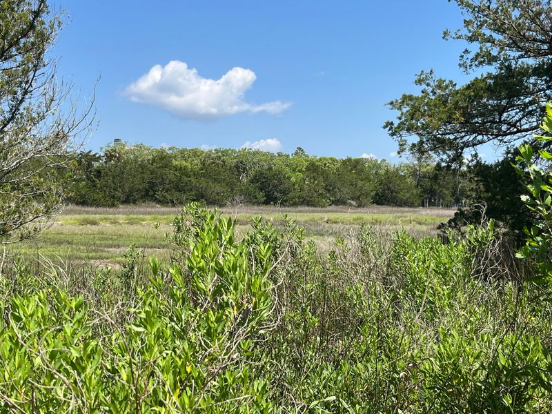 38 Planters Retreat Dr, Edisto Island, SC 29438