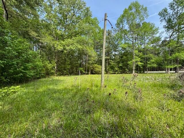 3374 Sc 402, Cordesville, SC 29434