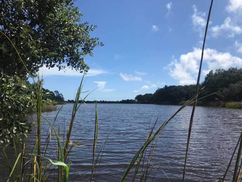 0 Mossey Grove Ln, Awendaw, SC 29429