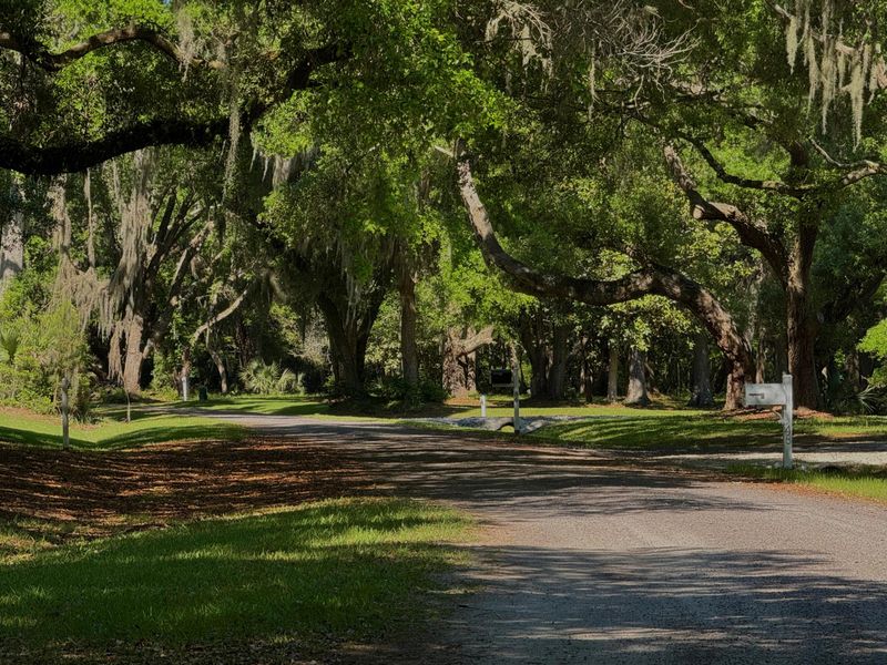 120 Oakwood Ln, Edisto Island, SC 29438