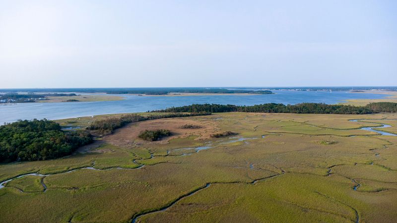 153 Etiwan Pointe Dr, Mount Pleasant, SC 29464