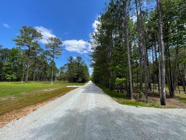5 Santee Ridge Ln, Saint Stephen, SC 29479