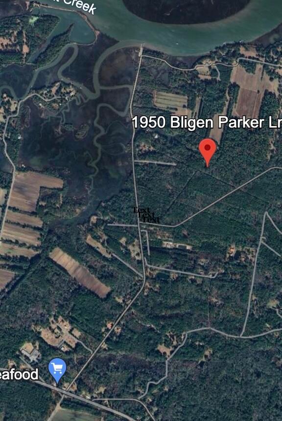 1950 Bligen Parker Ln, Edisto Island, SC 29438