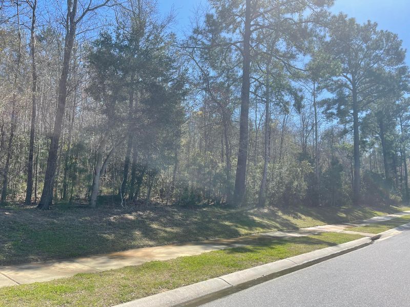 00 Hwy 52, Moncks Corner, SC 29461