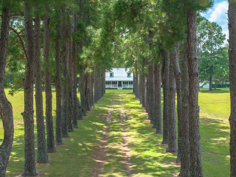 229 Limestone Rd, Dorchester, SC 29437