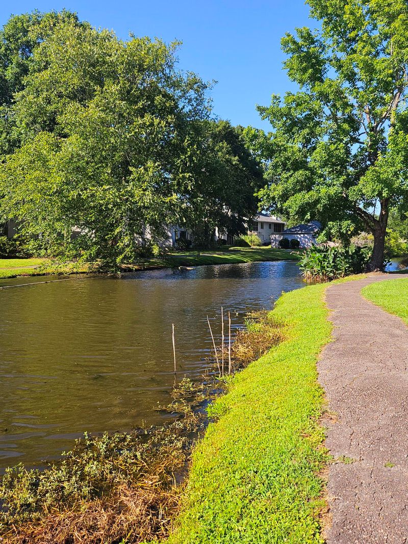 604 Waterwood Dr, Goose Creek, SC 29445