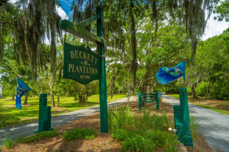 8430 St Pierre Creek, Edisto Island, SC 29438