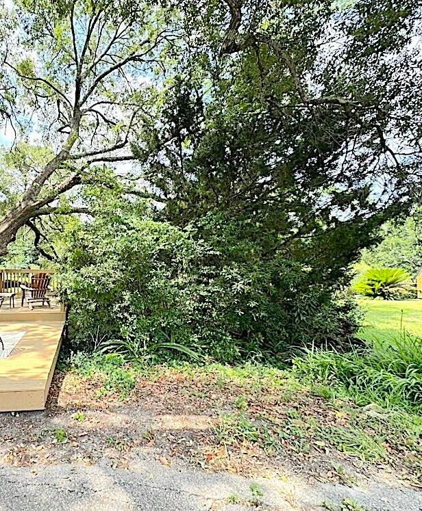 1423 Brockman Cir, Charleston, SC 29412