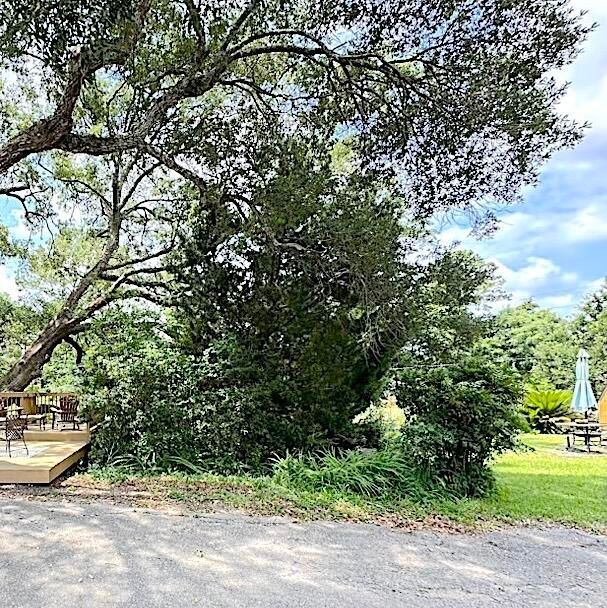1423 Brockman Cir, Charleston, SC 29412