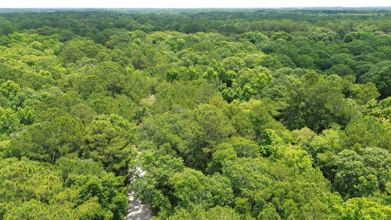 4 Preserve Rd, Johns Island, SC 29455
