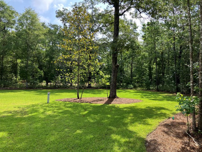 1000 Awendaw Lakes Blvd, Awendaw, SC 29429